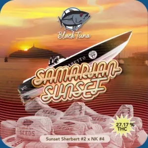 Black Tuna Seeds | Samarian Sunset