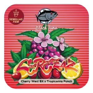 Black Tuna Seeds | Cerezaz