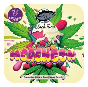 Black Tuna Seeds | Merengón