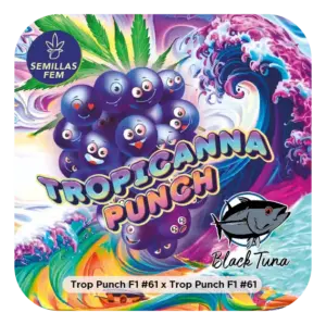 Black Tuna Seeds | Tropicanna Punch #61