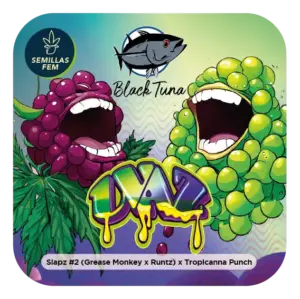 Black Tuna Seeds | Uvaz