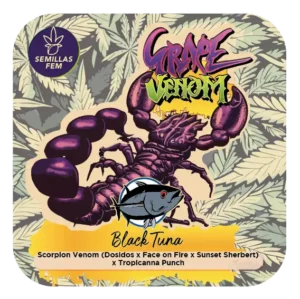 Black Tuna Seeds | Grape Venom