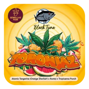 Black Tuna Seeds | Toronjaz
