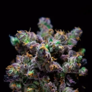 R-KIEM Seeds | Z-Kiem